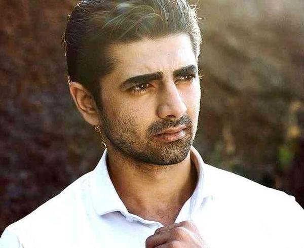 Shehzad Shaikh Affairs, Height, Net Worth, Age, Bio and More image