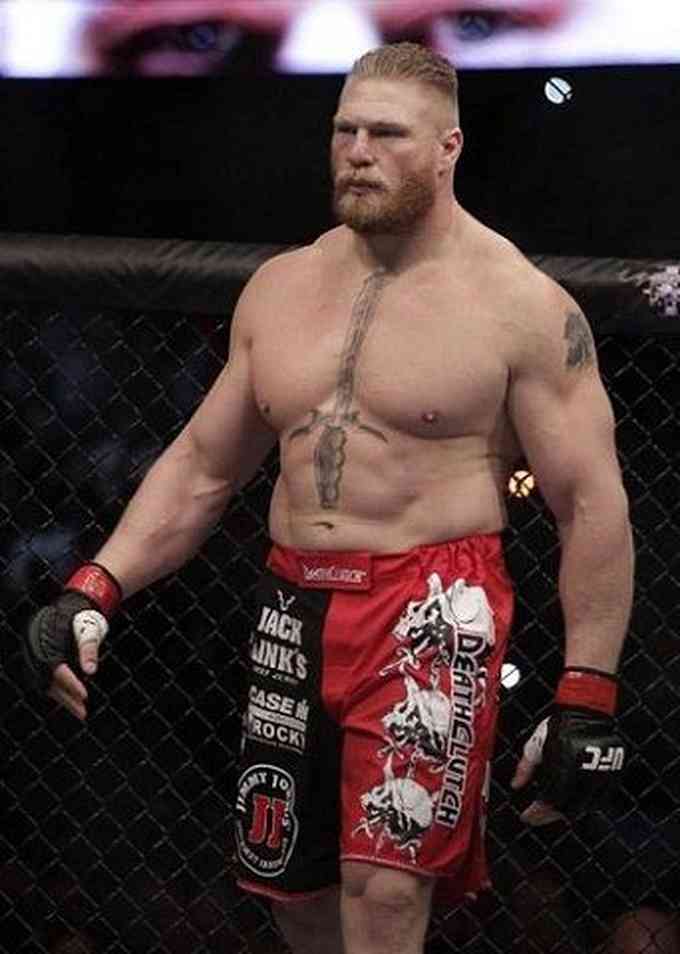 Brock Lesnar Image
